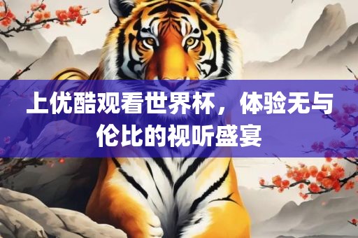 上优酷观看世界杯，体验无与伦比的视听盛宴