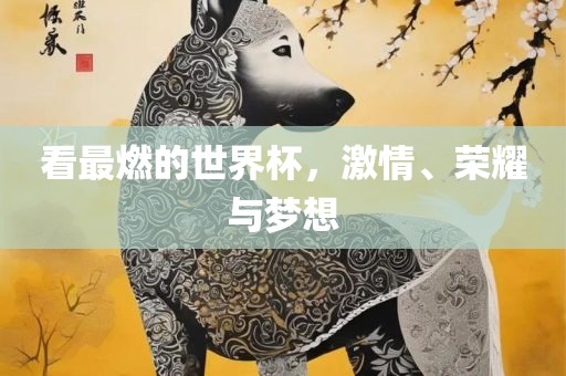 看最燃的世界杯，激情、荣耀与梦想