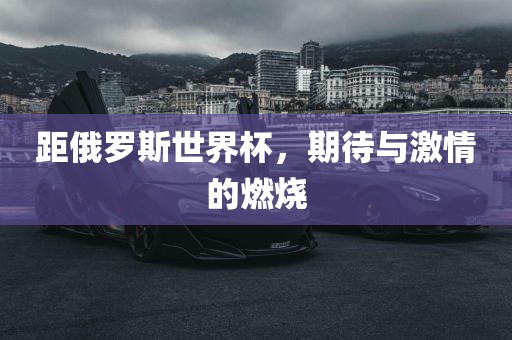 距俄罗斯世界杯，期待与激情的燃烧