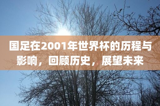 国足在2001年世界杯的历程与影响，回顾历史，展望未来