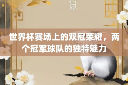 世界杯赛场上的双冠荣耀，两个冠军球队的独特魅力