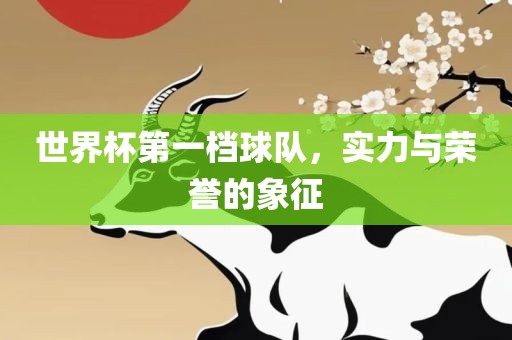 世界杯第一档球队，实力与荣誉的象征