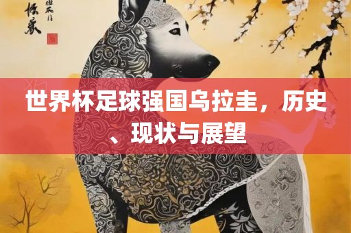世界杯足球强国乌拉圭，历史、现状与展望