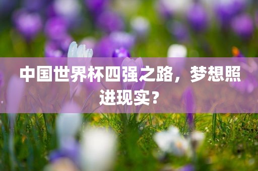 中国世界杯四强之路，梦想照进现实？