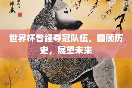 世界杯曾经夺冠队伍，回顾历史，展望未来