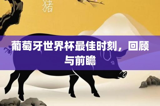 葡萄牙世界杯最佳时刻，回顾与前瞻