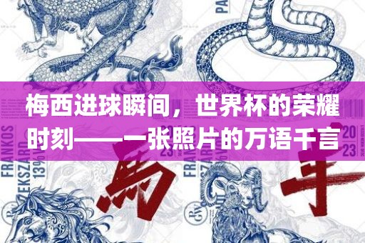 梅西进球瞬间，世界杯的荣耀时刻——一张照片的万语千言