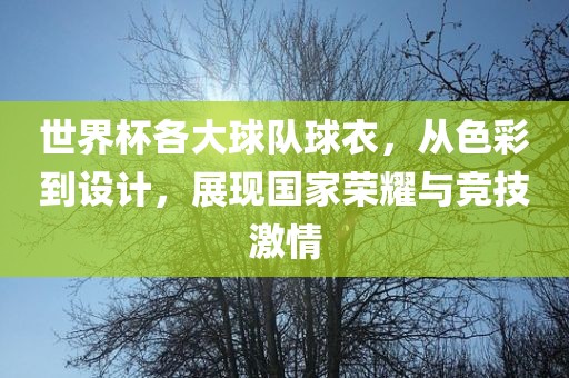 世界杯各大球队球衣，从色彩到设计，展现国家荣耀与竞技激情