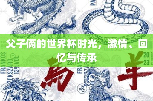 父子俩的世界杯时光，激情、回忆与传承