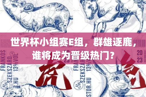 世界杯小组赛E组，群雄逐鹿，谁将成为晋级热门？