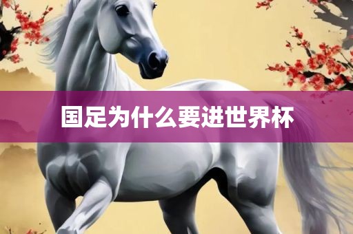 国足为什么要进世界杯
