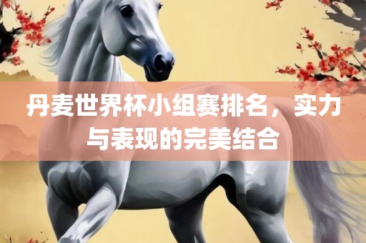 丹麦世界杯小组赛排名，实力与表现的完美结合