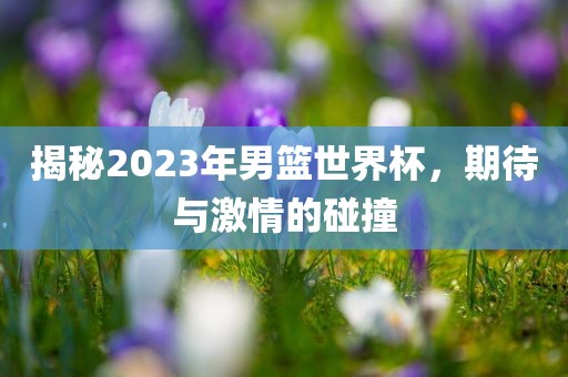 揭秘2023年男篮世界杯，期待与激情的碰撞
