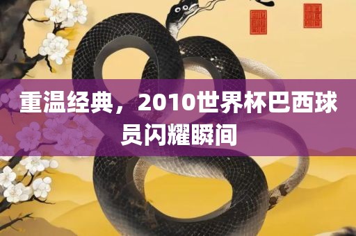 重温经典，2010世界杯巴西球员闪耀瞬间