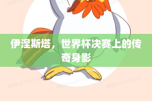 伊涅斯塔，世界杯决赛上的传奇身影