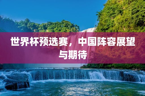 世界杯预选赛，中国阵容展望与期待