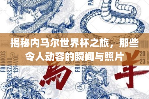 揭秘内马尔世界杯之旅，那些令人动容的瞬间与照片