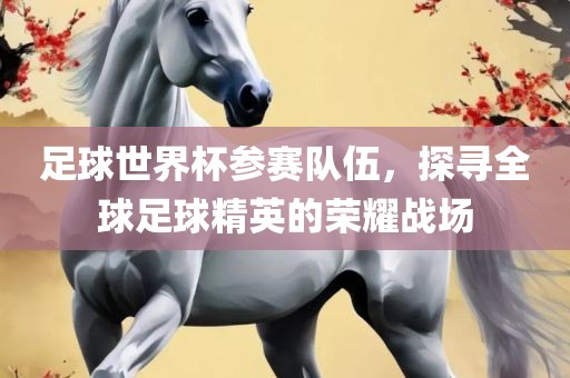 足球世界杯参赛队伍，探寻全球足球精英的荣耀战场