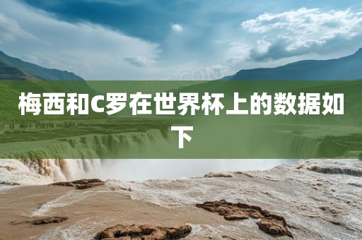 梅西和C罗在世界杯上的数据如下