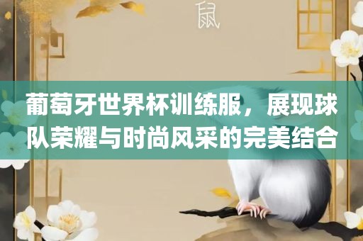 葡萄牙世界杯训练服，展现球队荣耀与时尚风采的完美结合