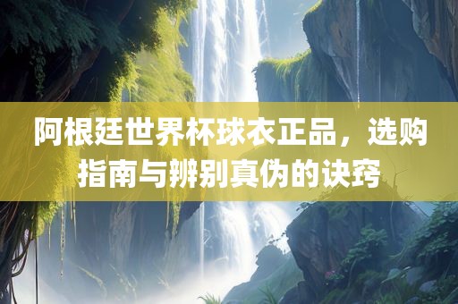 阿根廷世界杯球衣正品，选购指南与辨别真伪的诀窍