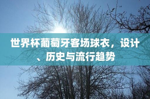 世界杯葡萄牙客场球衣，设计、历史与流行趋势