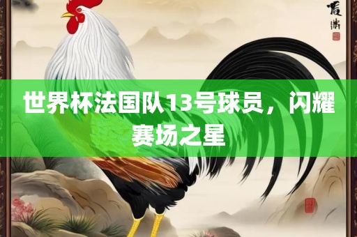 世界杯法国队13号球员，闪耀赛场之星