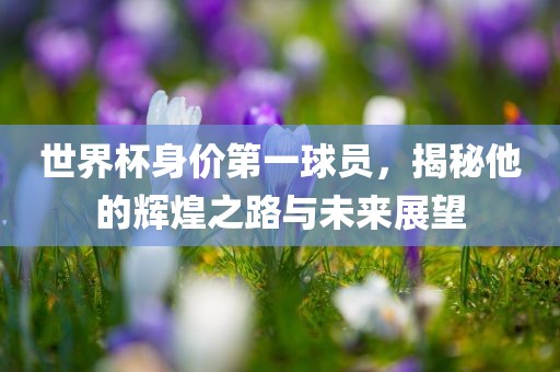 世界杯身价第一球员，揭秘他的辉煌之路与未来展望