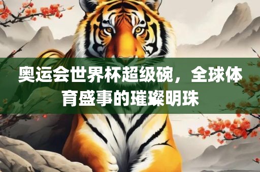 奥运会世界杯超级碗，全球体育盛事的璀璨明珠