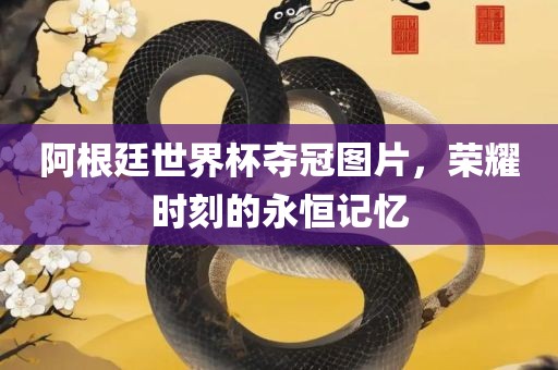 阿根廷世界杯夺冠图片，荣耀时刻的永恒记忆