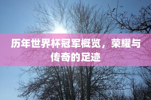 历年世界杯冠军概览，荣耀与传奇的足迹