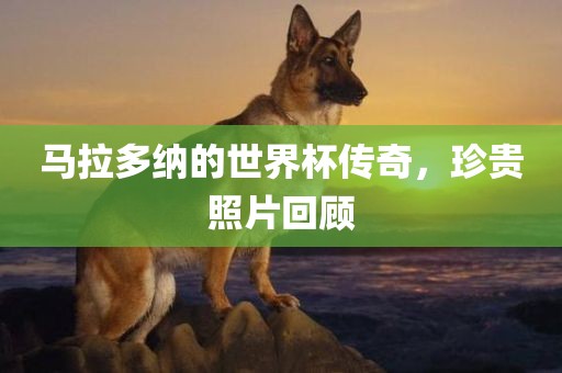 马拉多纳的世界杯传奇，珍贵照片回顾