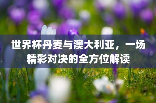 世界杯丹麦与澳大利亚，一场精彩对决的全方位解读