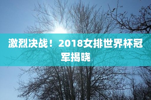 激烈决战！2018女排世界杯冠军揭晓
