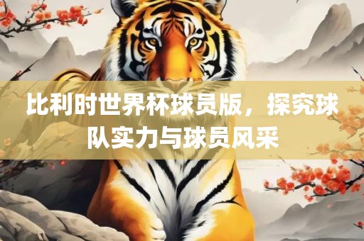 比利时世界杯球员版，探究球队实力与球员风采
