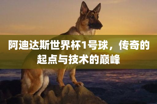 阿迪达斯世界杯1号球，传奇的起点与技术的巅峰