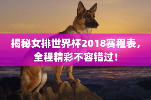 揭秘女排世界杯2018赛程表，全程精彩不容错过！