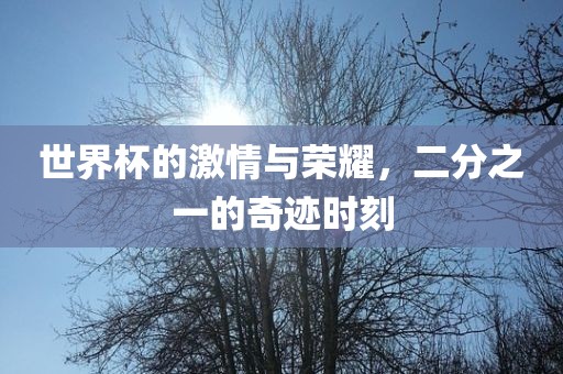 世界杯的激情与荣耀，二分之一的奇迹时刻