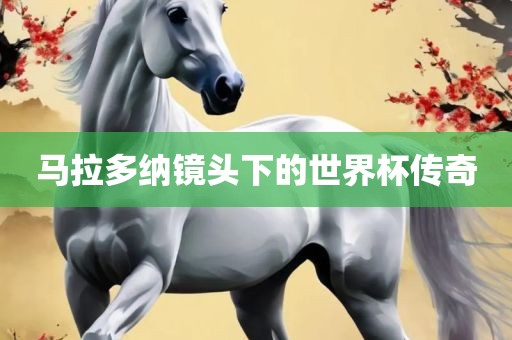 马拉多纳镜头下的世界杯传奇