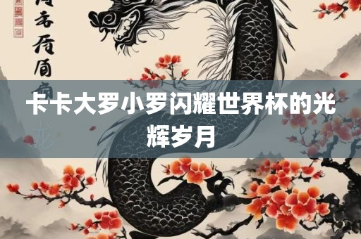 卡卡大罗小罗闪耀世界杯的光辉岁月