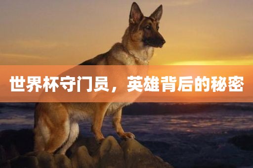世界杯守门员，英雄背后的秘密