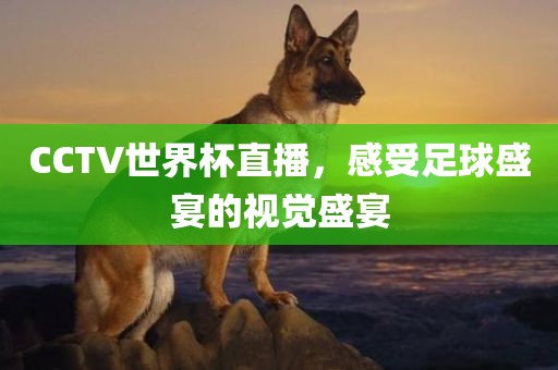 CCTV世界杯直播，感受足球盛宴的视觉盛宴