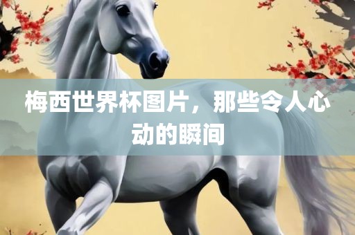 梅西世界杯图片，那些令人心动的瞬间