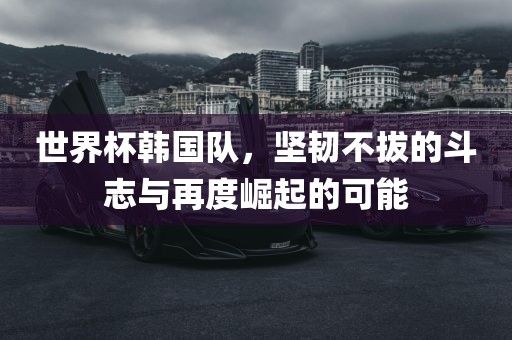 世界杯韩国队，坚韧不拔的斗志与再度崛起的可能