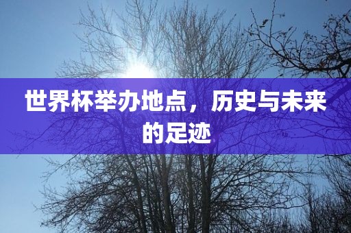 世界杯举办地点，历史与未来的足迹眉山市正发家政服务有限公司