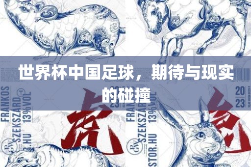 世界杯中国足球，期待与现实的碰撞