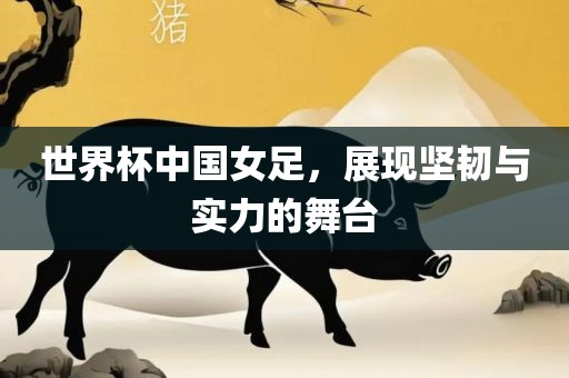 世界杯中国女足，展现坚韧与实力的舞台