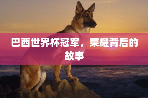 巴西世界杯冠军，荣耀背后的故事眉山市正发家政服务有限公司