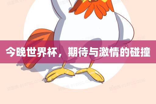 今晚世界杯，期待与激情的碰撞
