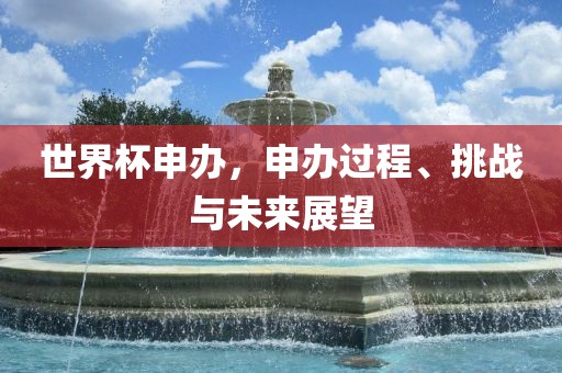 世界杯申办，申办过程、挑战与未来展望